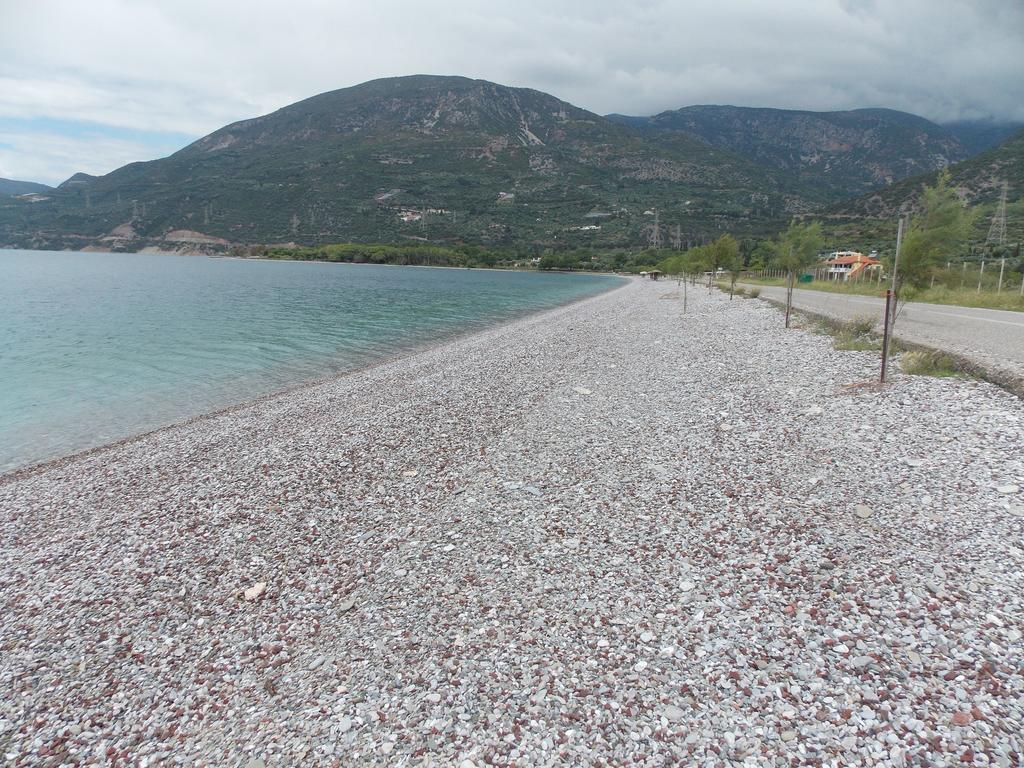 Hotel Theasis Paralia Sergoulas Zewnętrze zdjęcie